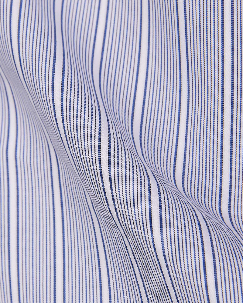 Blue & White Poplin Striped Shirt